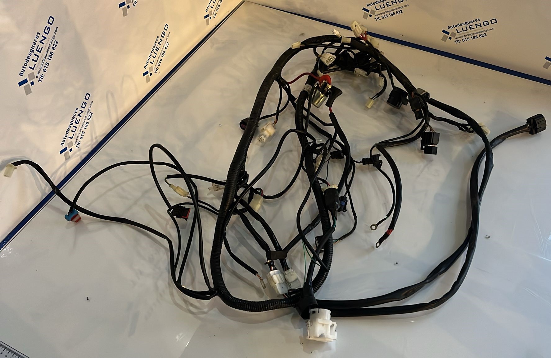 Instalación eléctrica Wottan Storm 125 2021