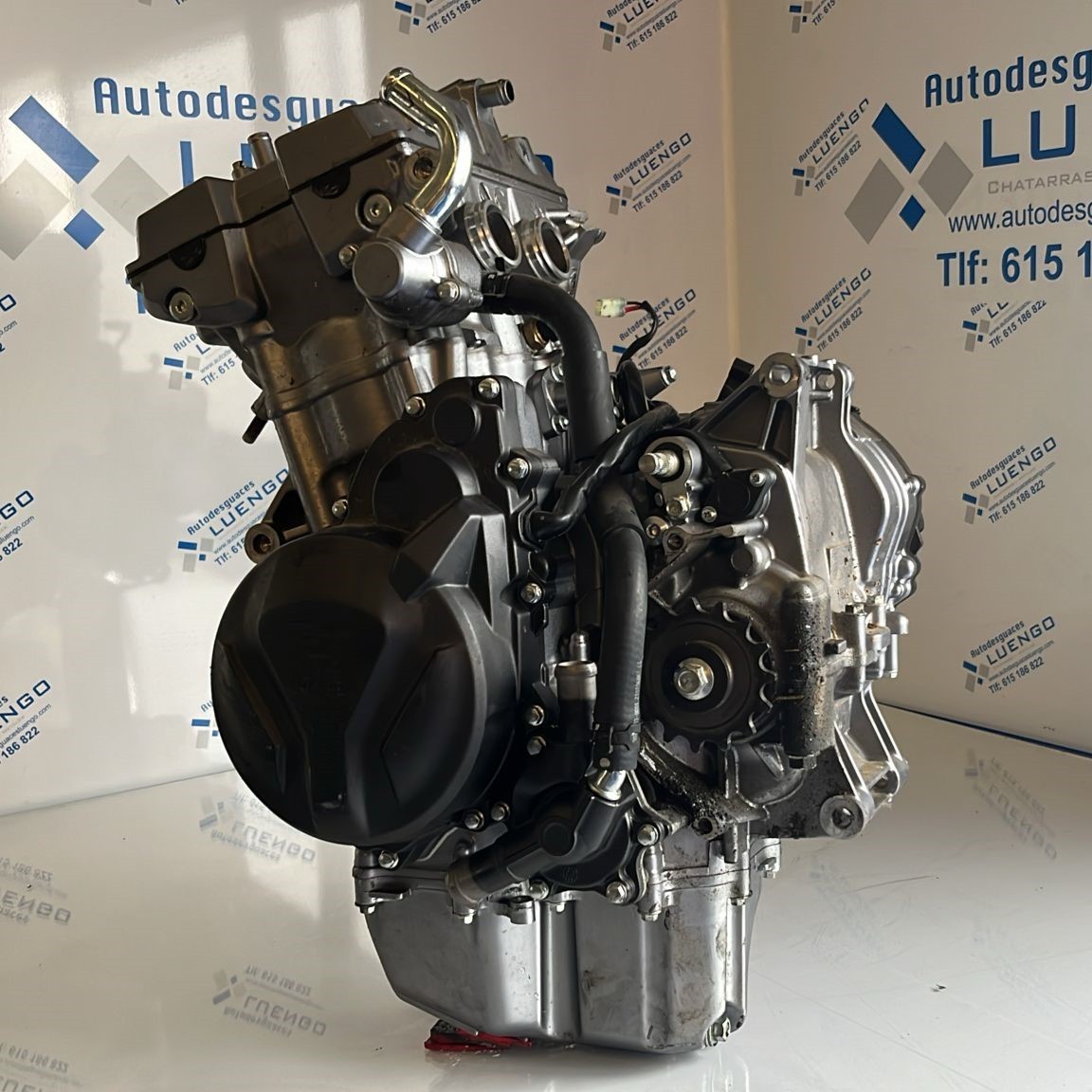 Motor (4.500km) Voge DS 500 2022