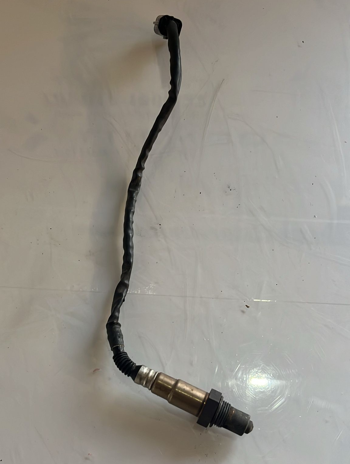 Sonda lambda Voge DS 500 2022