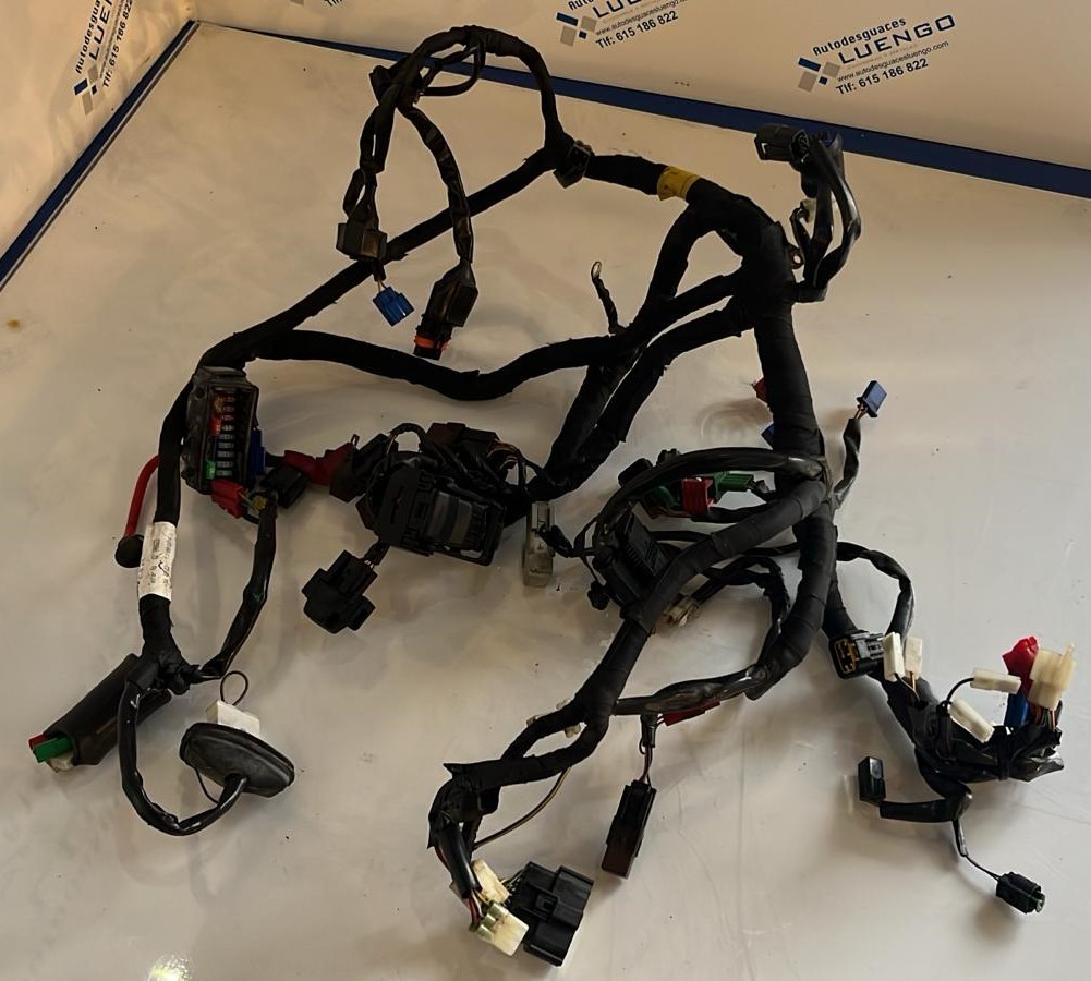 Mazo cableado KTM RC 125 2016