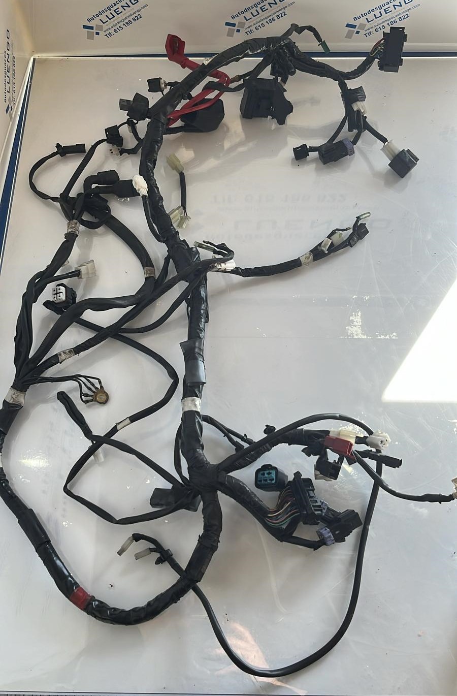 Cableado eléctrico Yamaha Xmax 125 2019