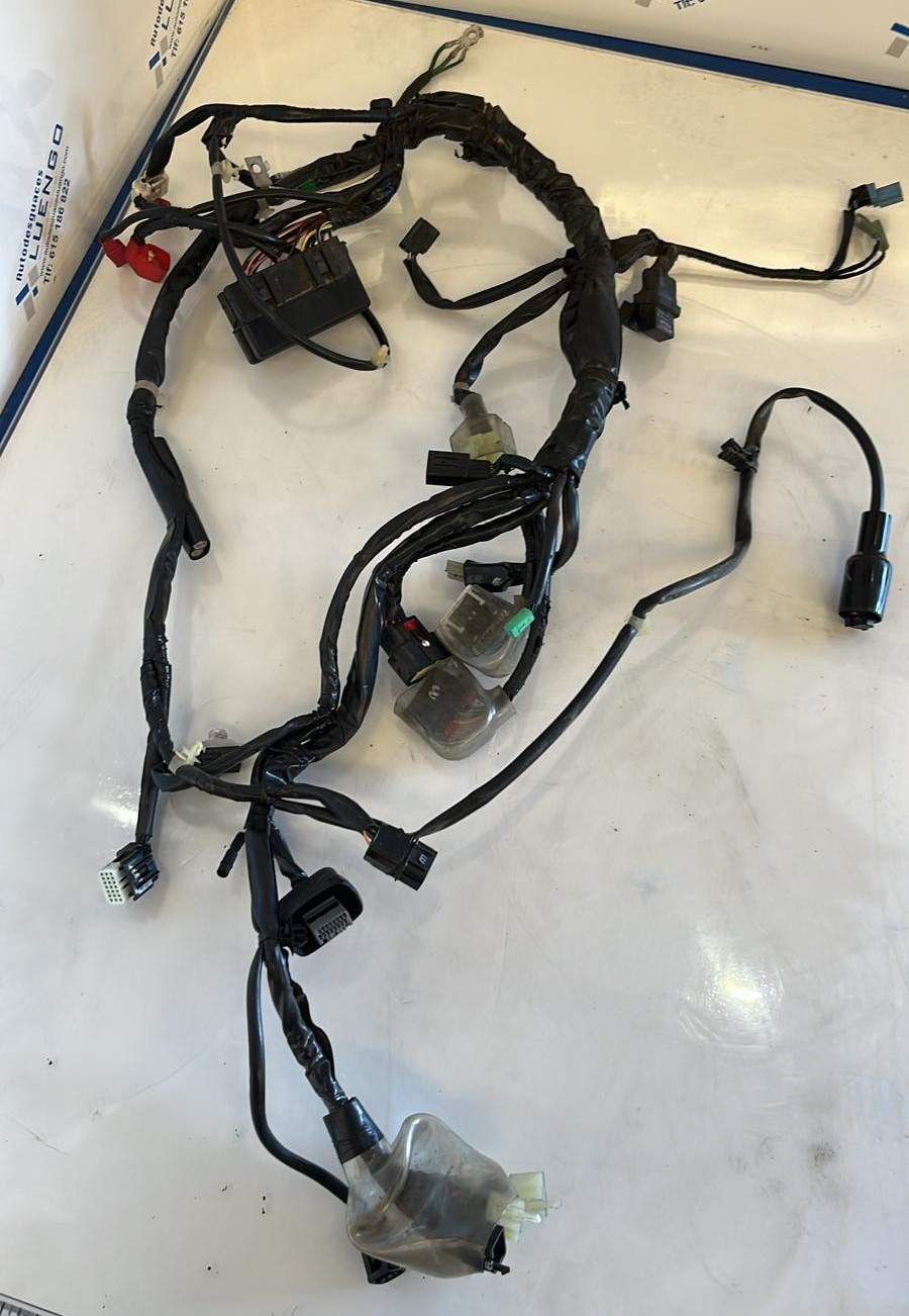 Cableado Honda PCX 125 2022