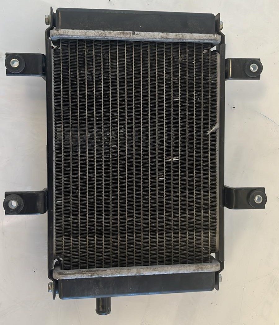 Radiador Sym Joymax 125 2022