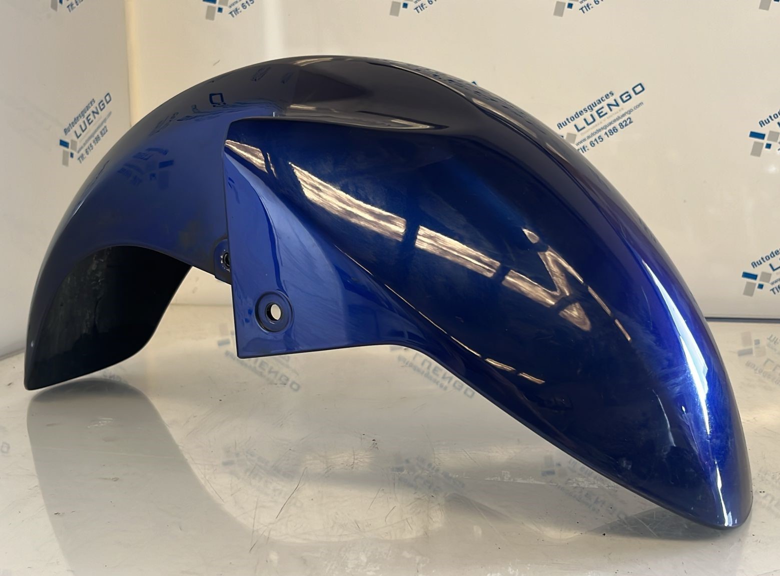 Guardabarros delantero Suzuki Burgman 125 2007
