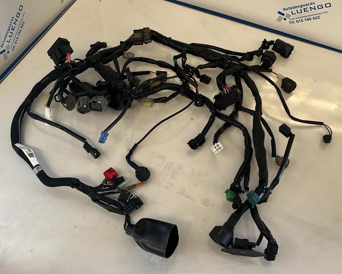 Instalación eléctrica Kawasaki Z 400 2022