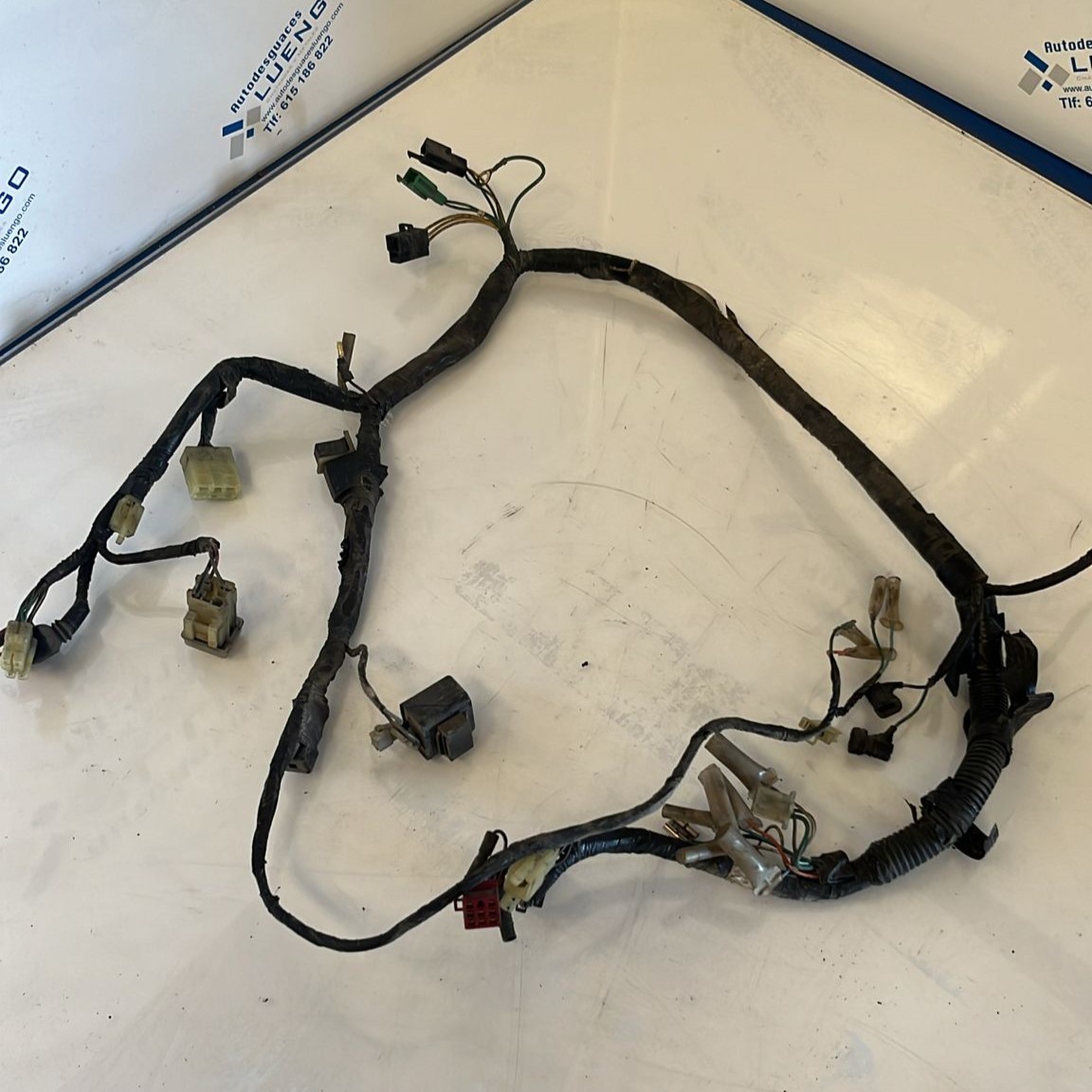 Cableado Honda CB 250 2001