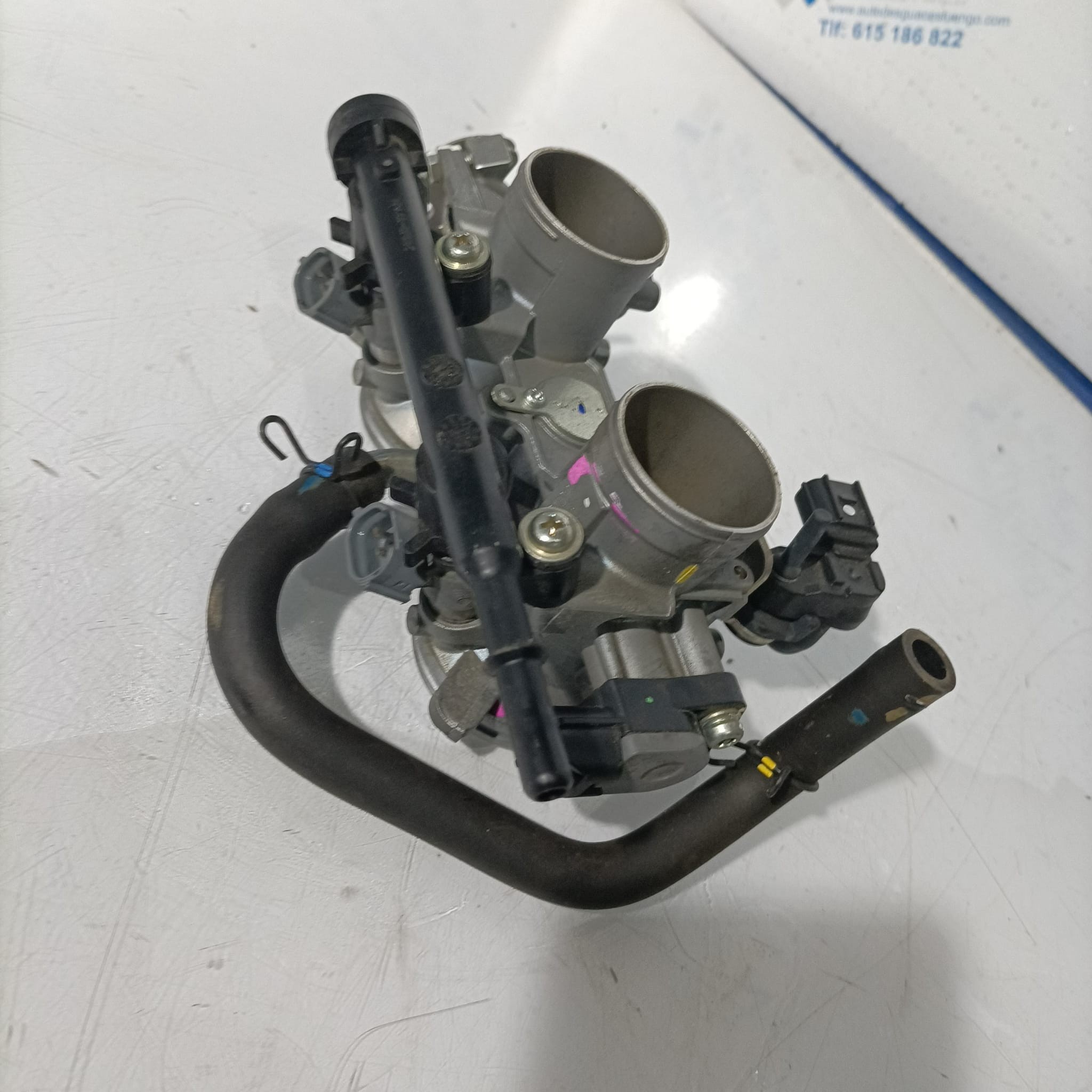Cuerpo de mariposas Kawasaki Z 400 2022