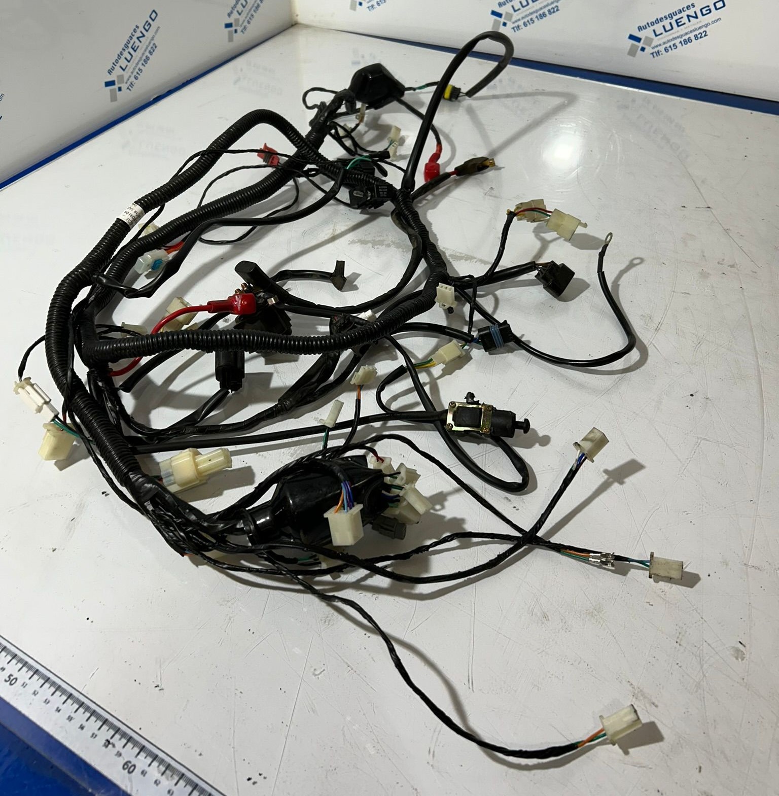 Cableado Wottan Storm 125 2021