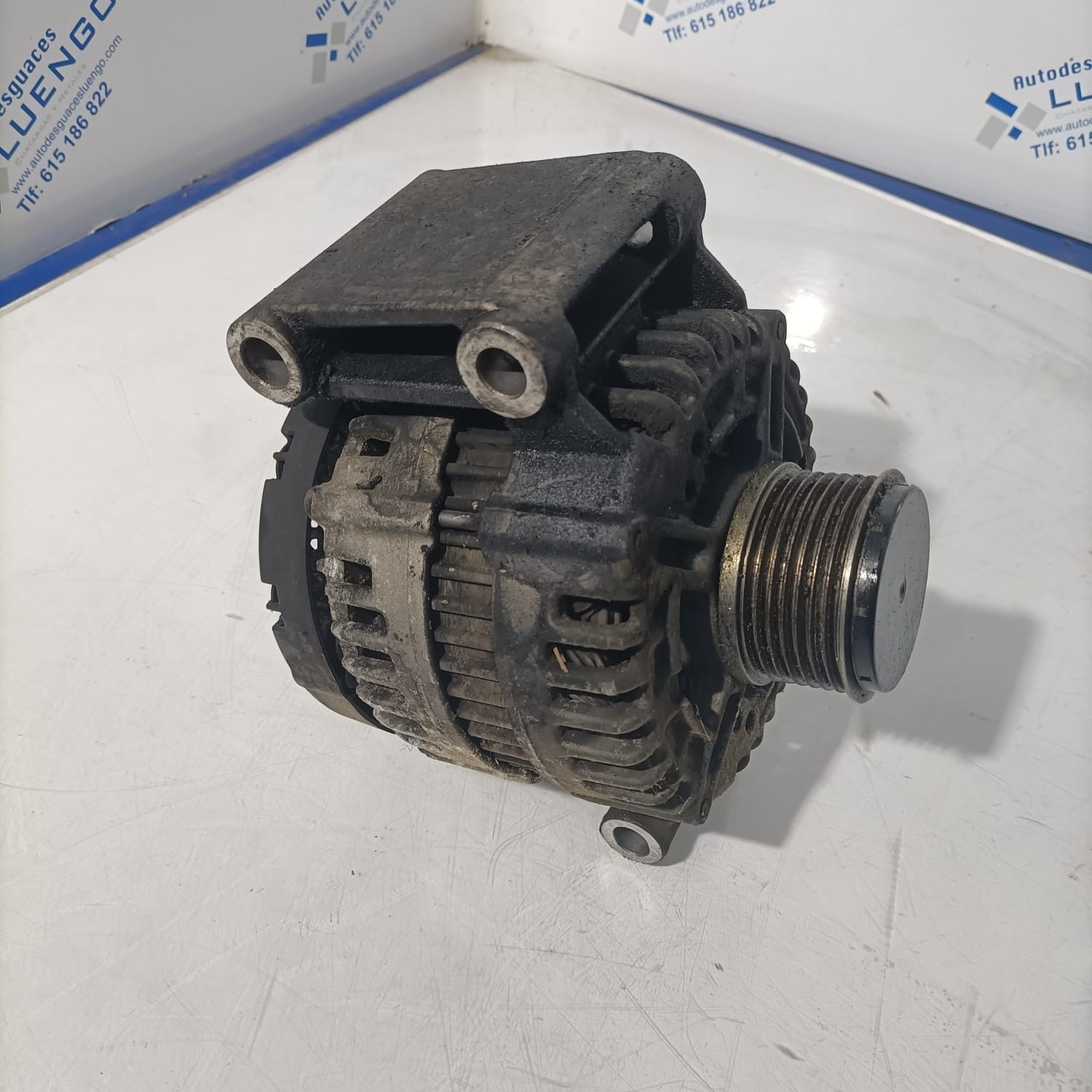 Alternador Ford Transit 2008