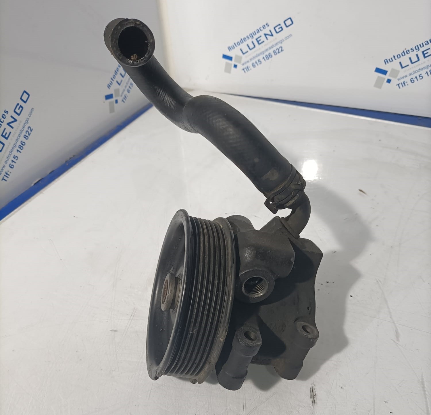 Bomba de dirección Ford Transit 2008