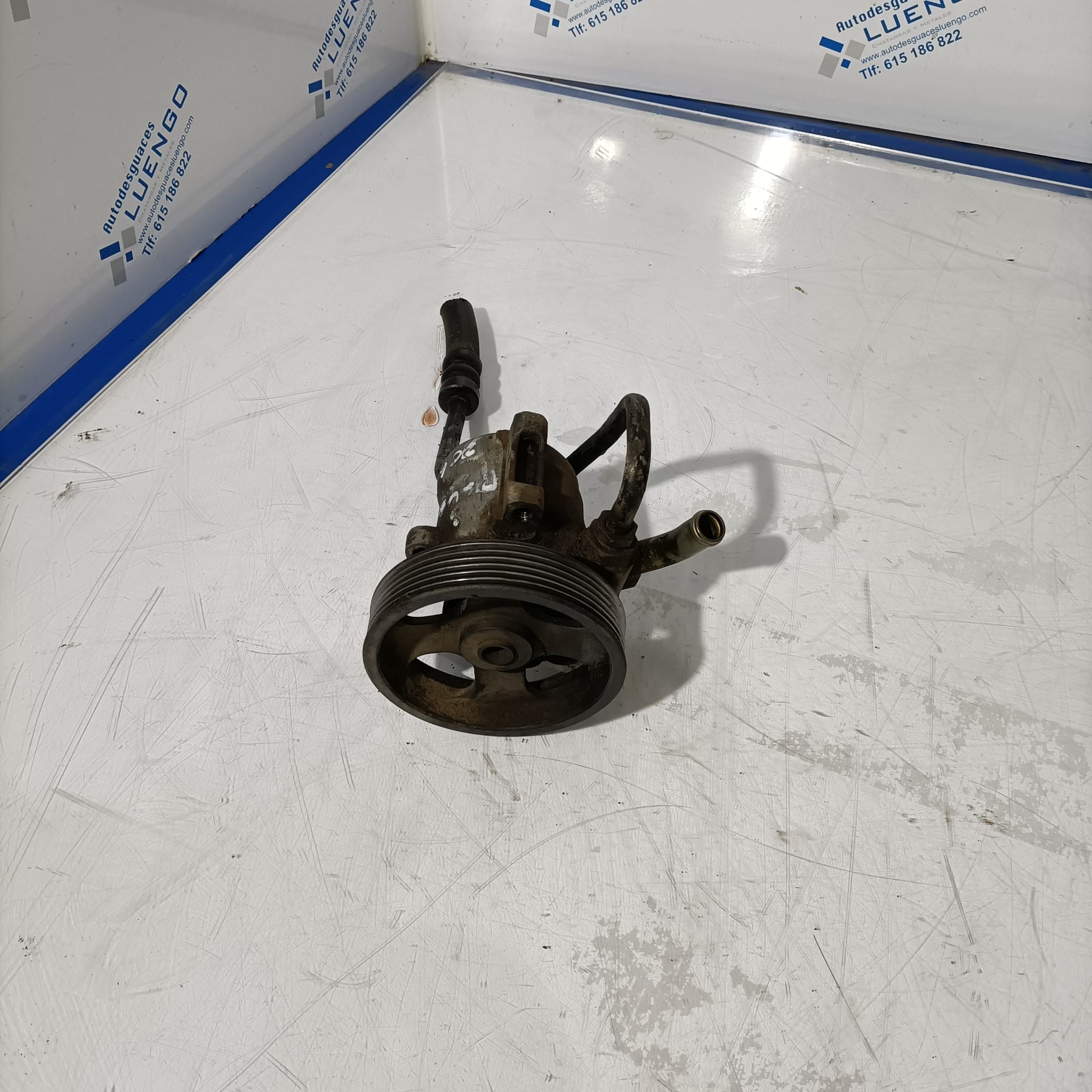 Bomba de servodirección Peugeot 306 1998