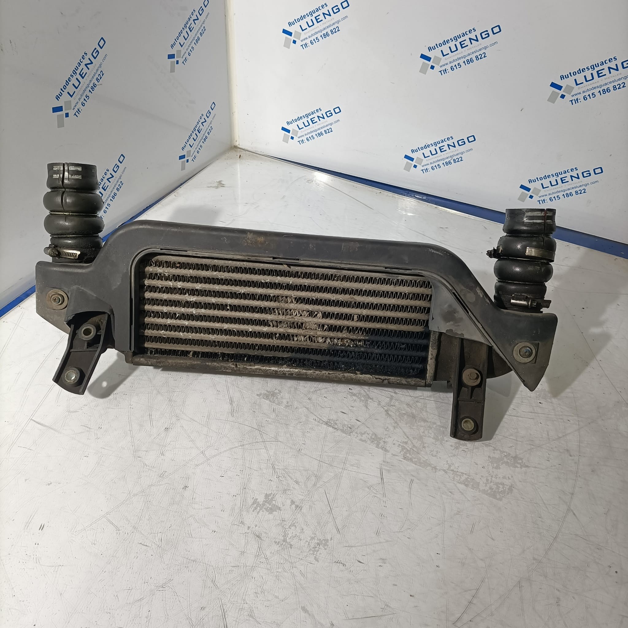 Intercooler Ford Focus 2001