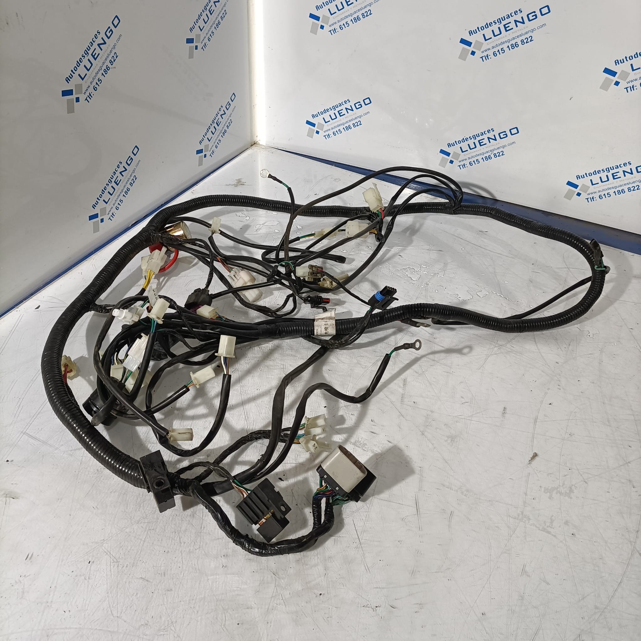 Cableado Wottan Storm T 2021