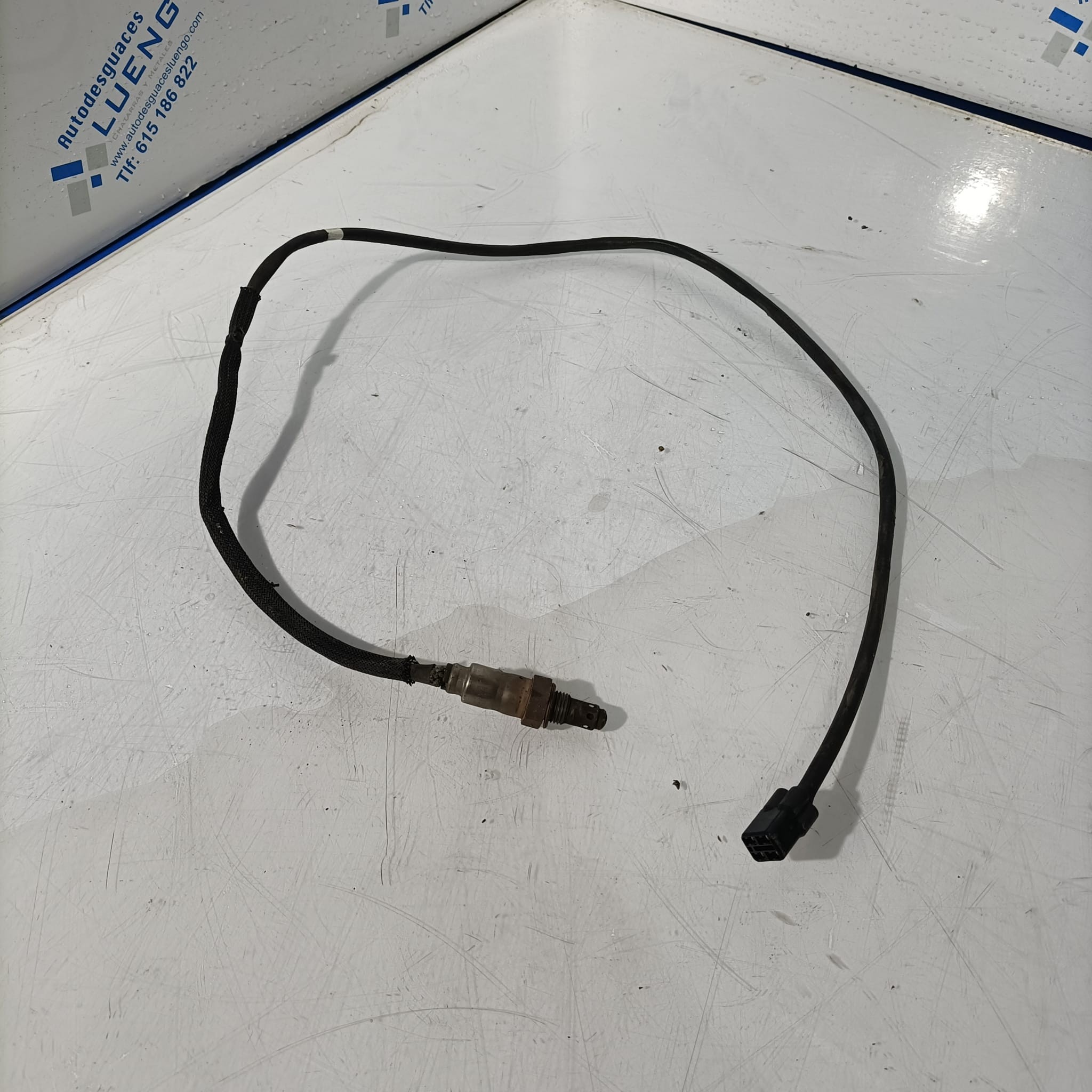 Sonda lambda 2 Kawasaki Z 400 2022
