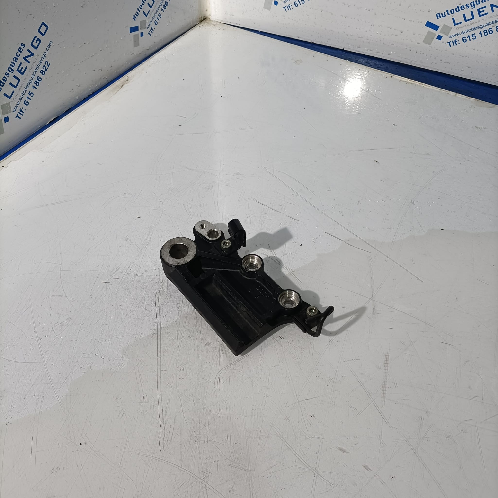 Soporte de pinza de freno trasera Kawasaki Z 400 2022