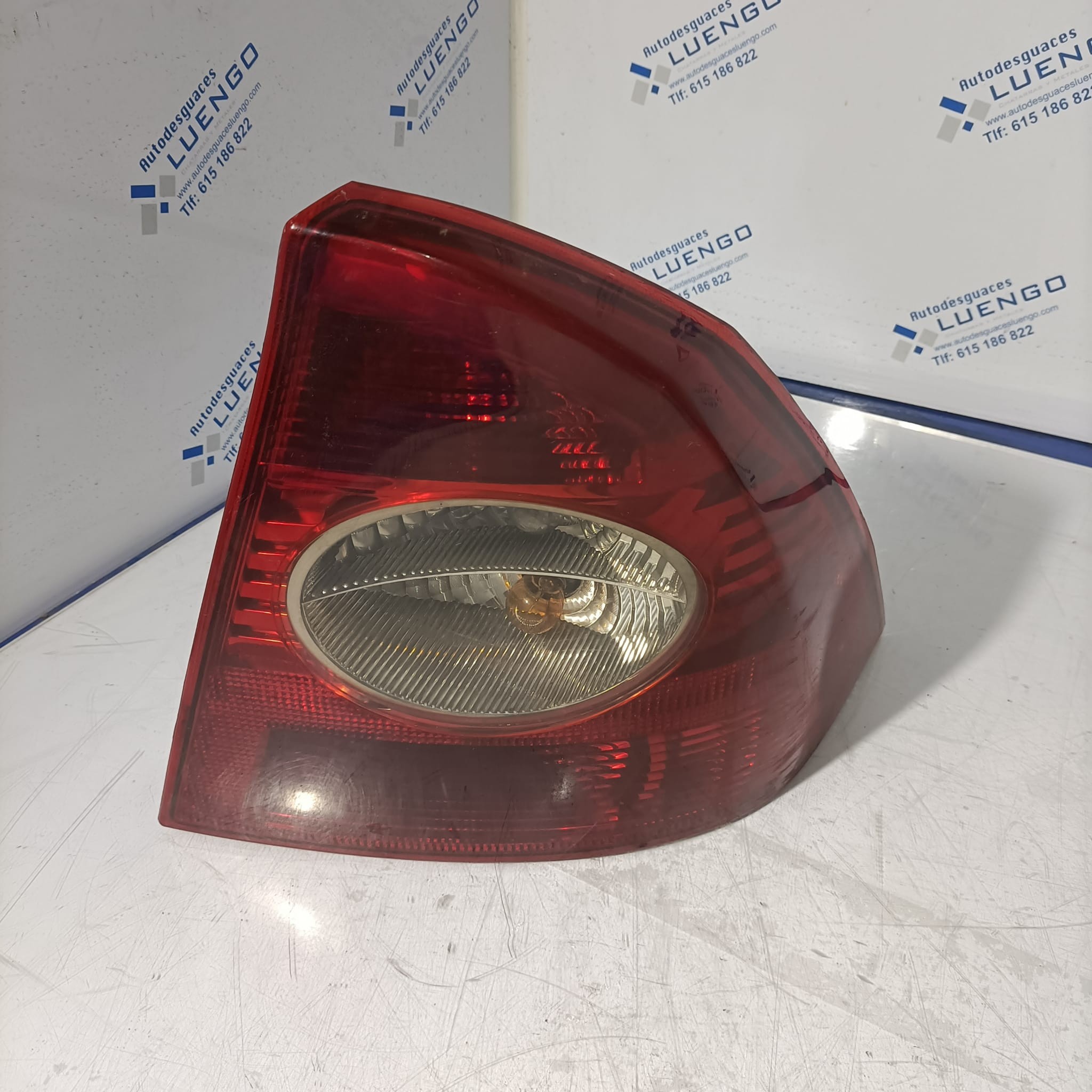 Piloto trasero derecho Ford Focus 2007