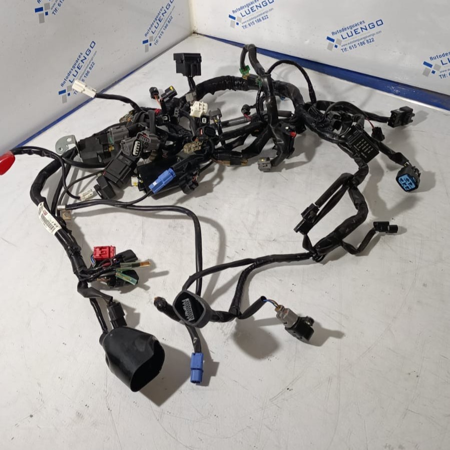 Cableado Kawasaki Ninja 500 2024