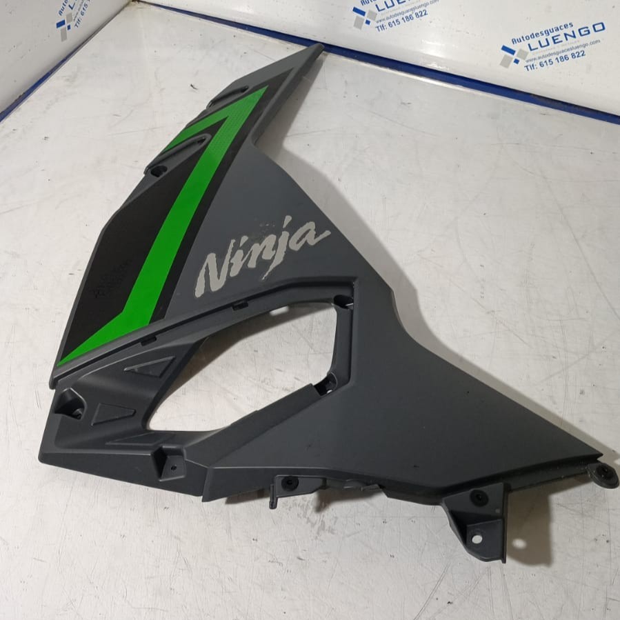 Lateral delantero derecho Kawasaki Ninja 500 2024