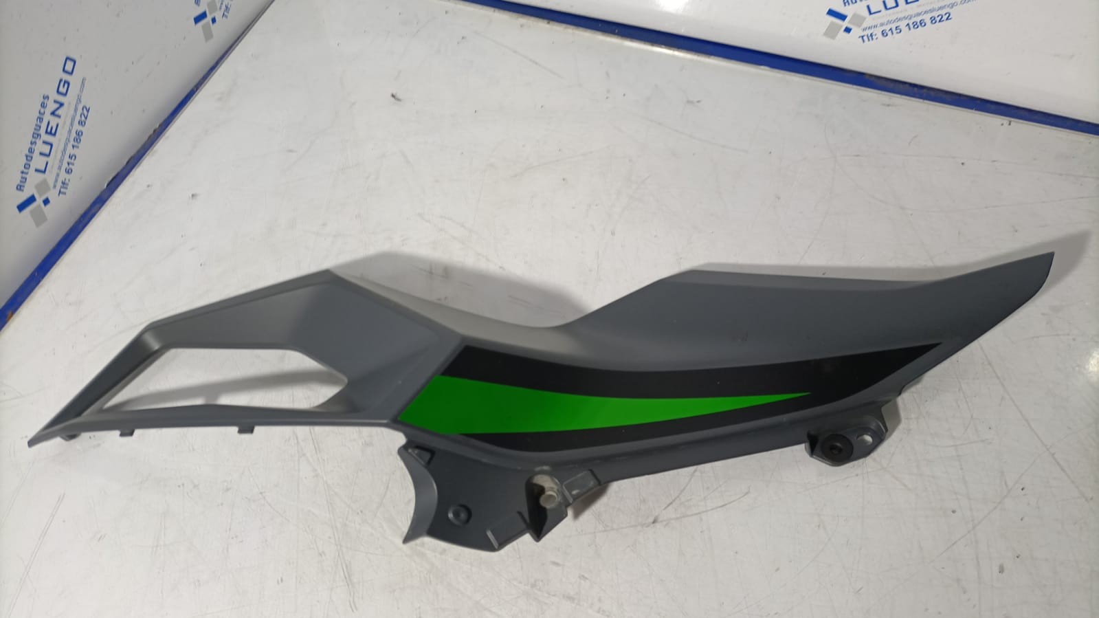 Lateral trasero izquierdo Kawasaki Ninja 500 2024
