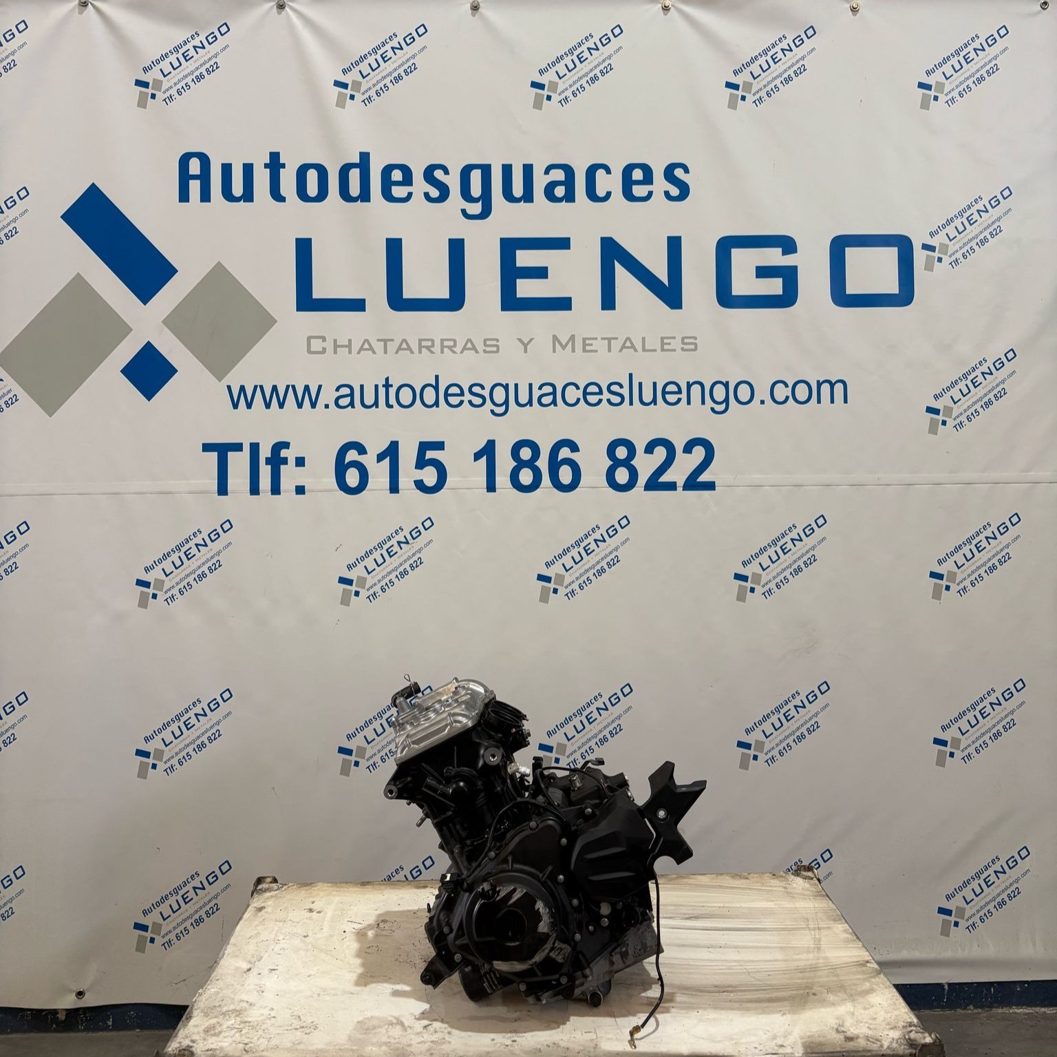 Motor Kawasaki Ninja 500 2024