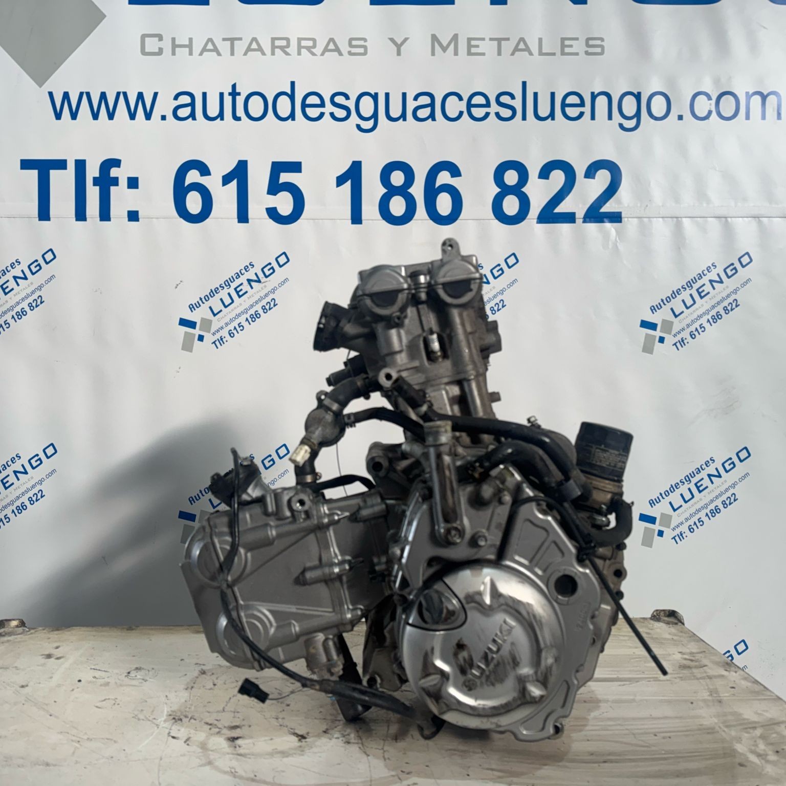 Motor Suzuki SV 650 Gladius 2009