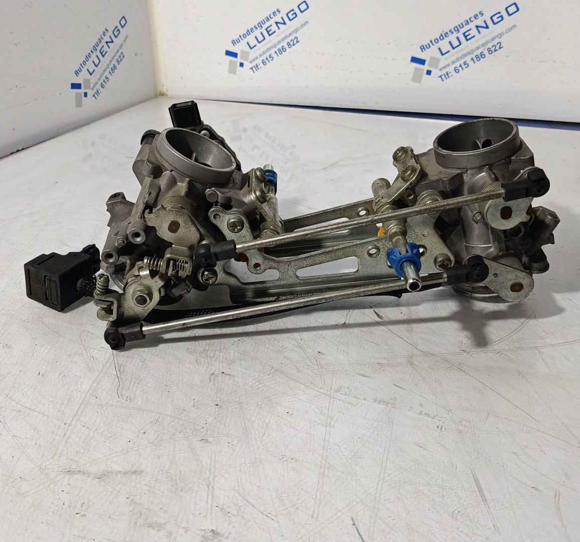 Cuerpo de mariposas Suzuki SV 650 Gladius 2009