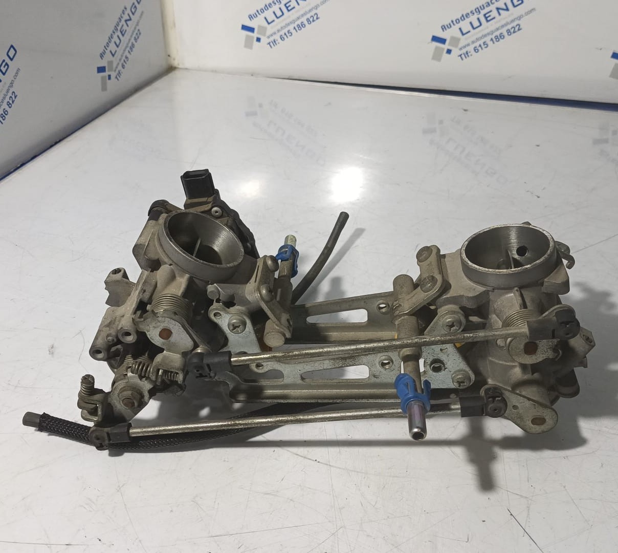 Cuerpo de mariposas Suzuki Gladius 650 2012