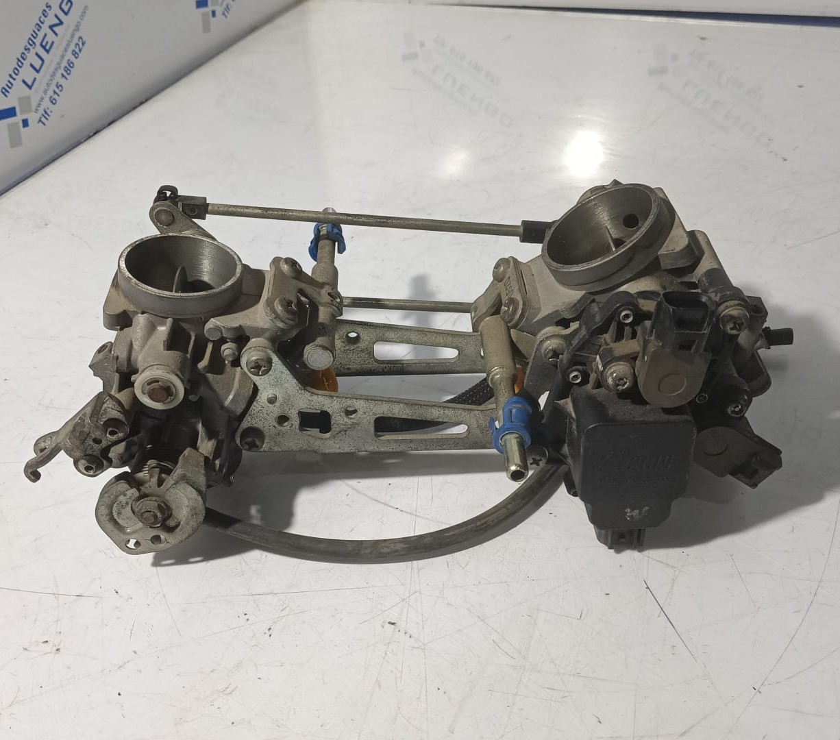 Cuerpo de mariposas Suzuki Gladius 650 2012