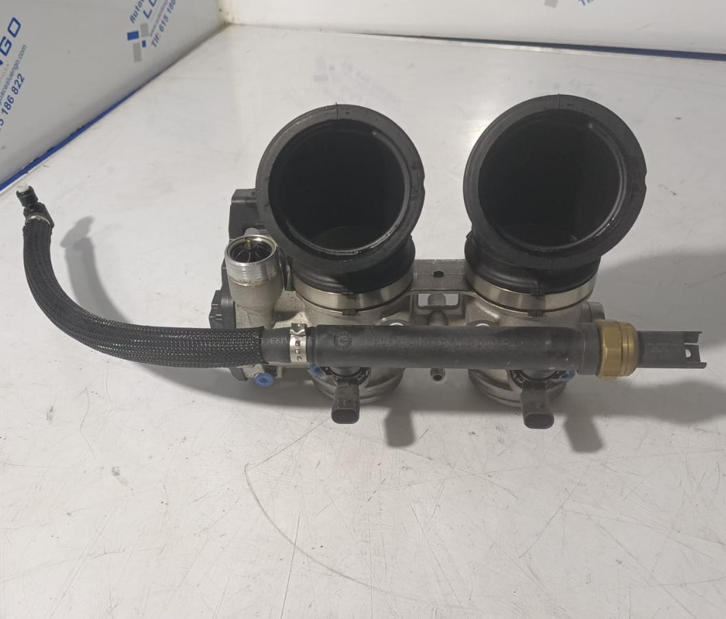 Cuerpo de mariposas BMW F900 R Sport 2023