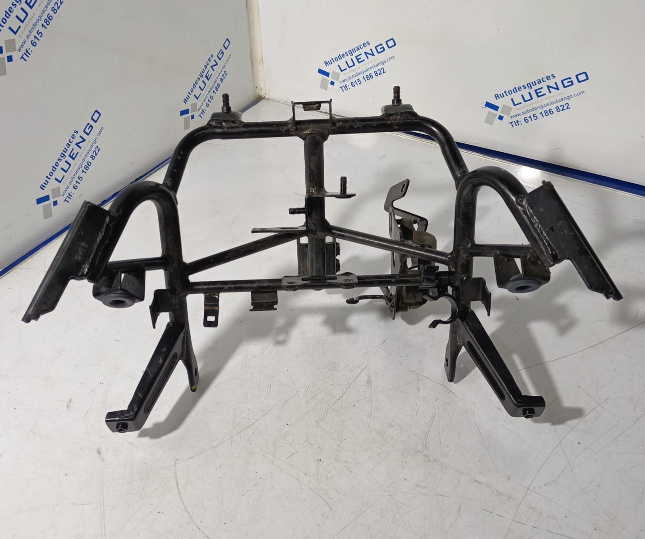 Araña Kawasaki J300 2019
