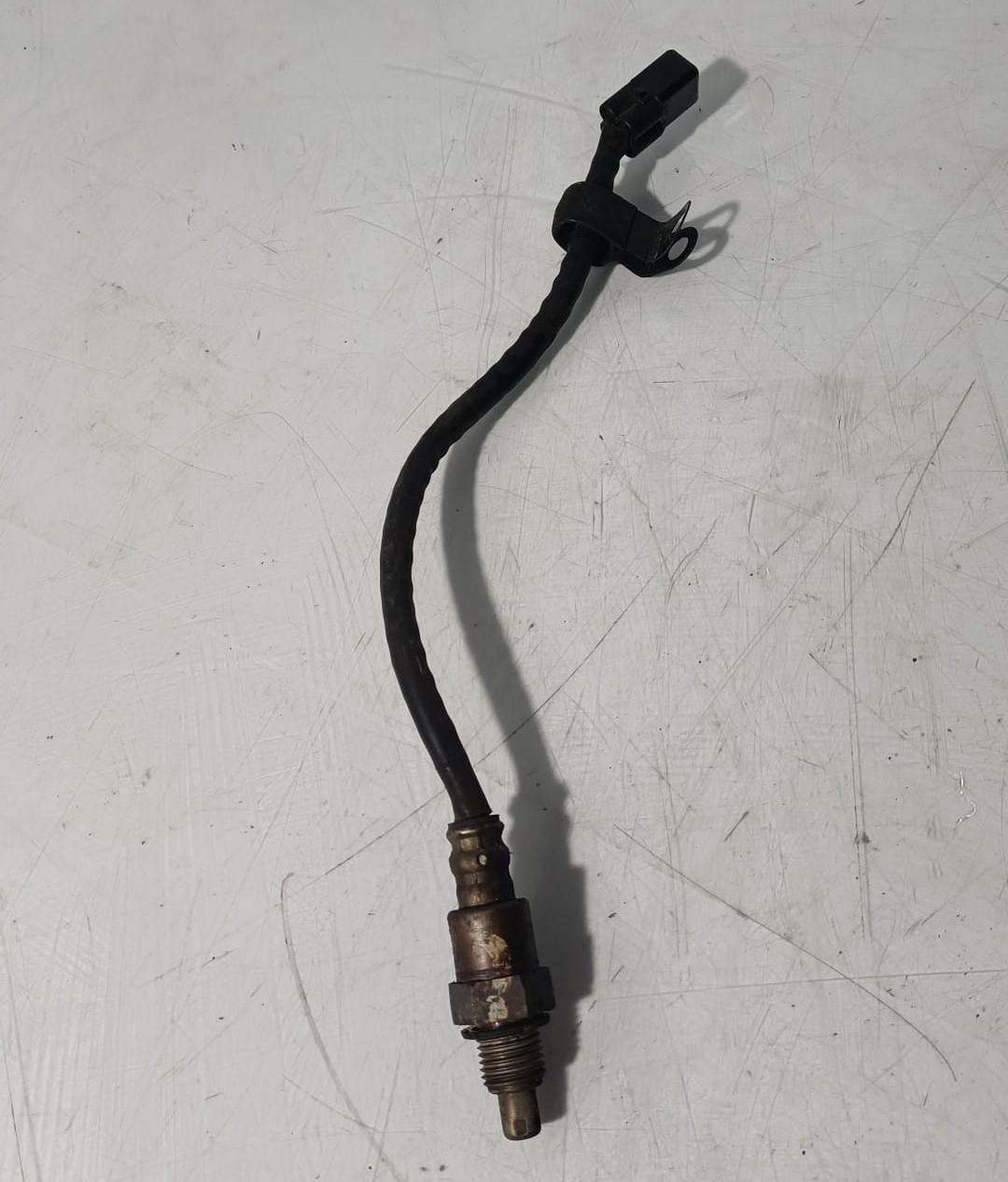 Sonda lambda Kawasaki Vulcan S 650 2016