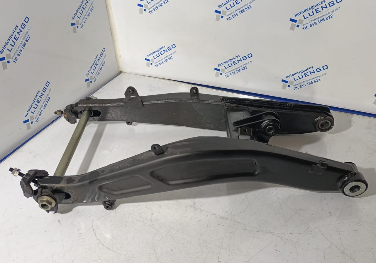 Basculante Kawasaki Ninja 650 2024
