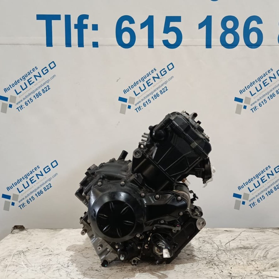 Motor Kawasaki Ninja 650 2024