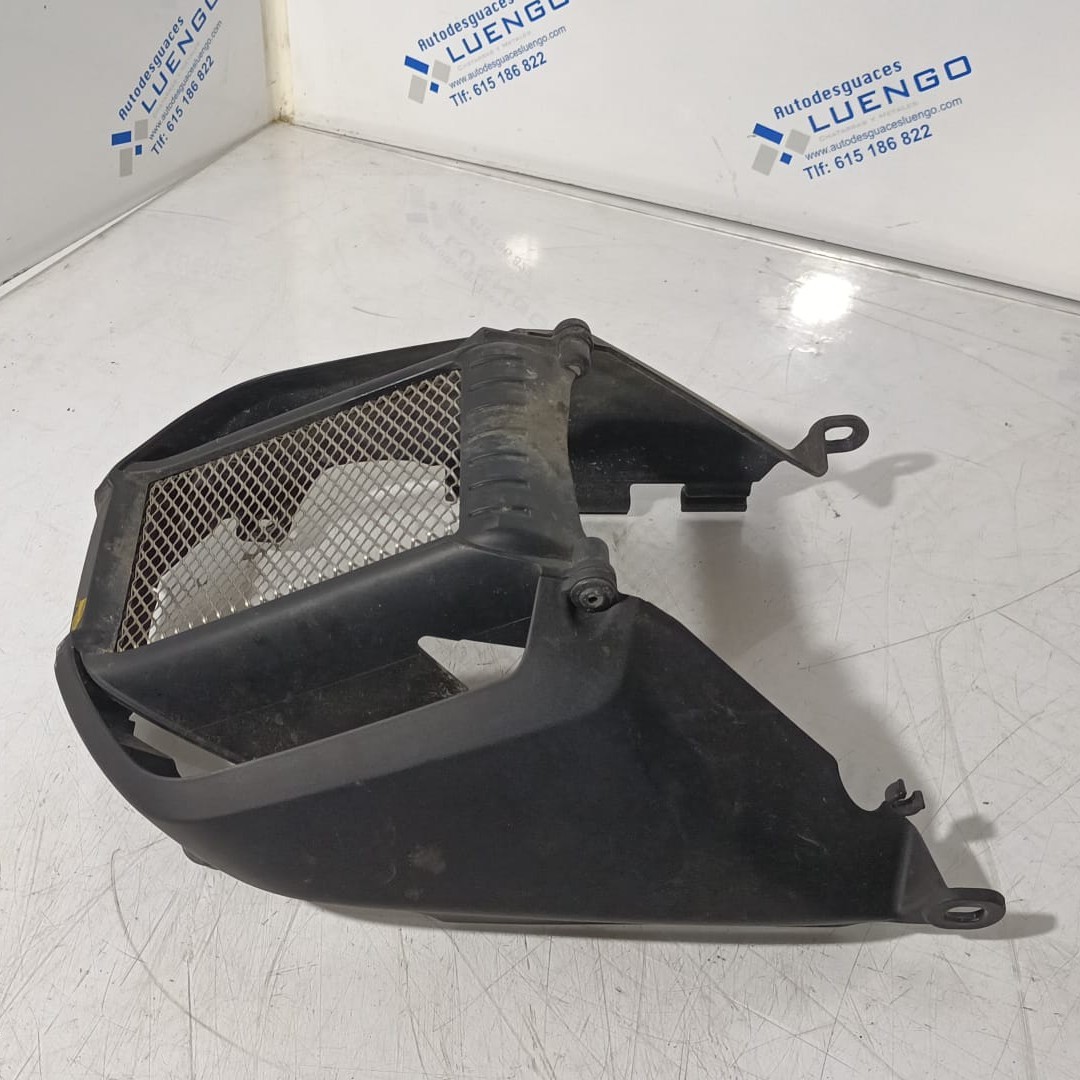 Protector de radiador Ducati Monster 696 2009