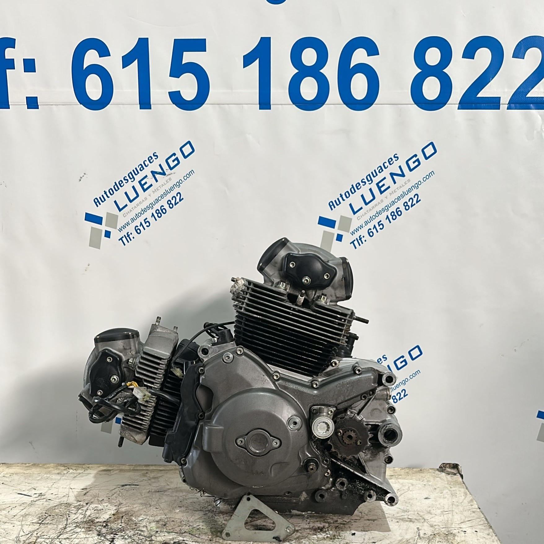 Motor Ducati Monster 696 2009