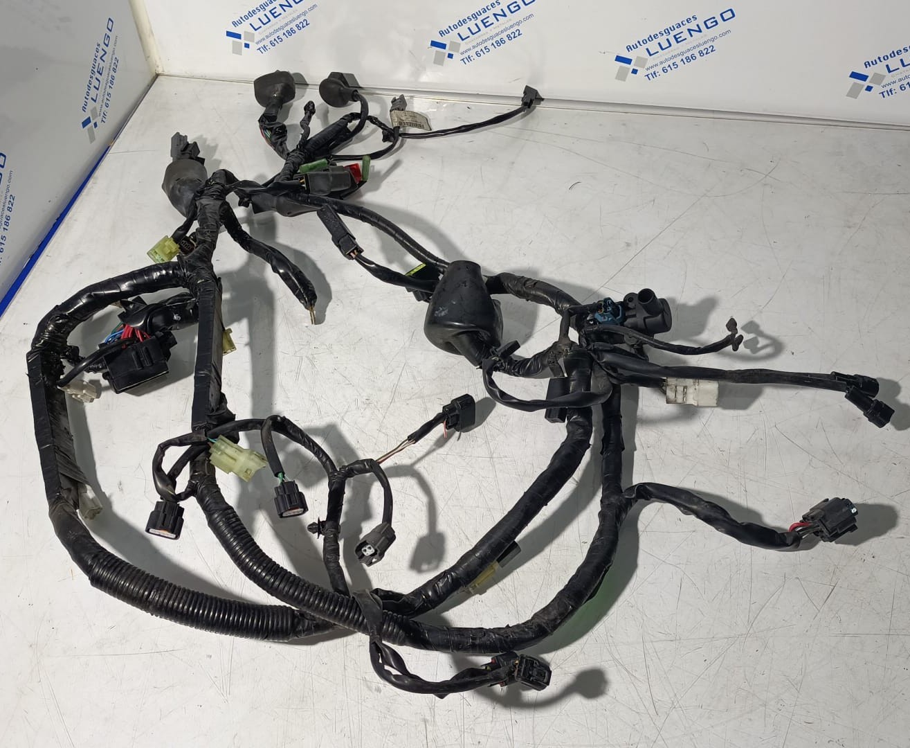 Cableado Kawasaki Ninja 125 2021