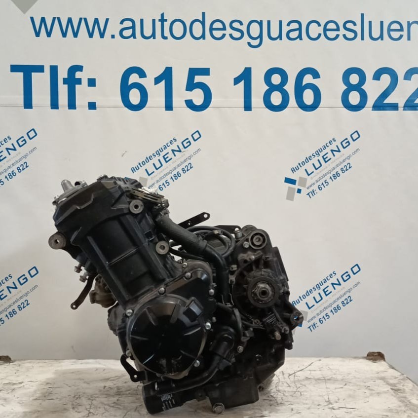Motor Kawasaki Z900 2022