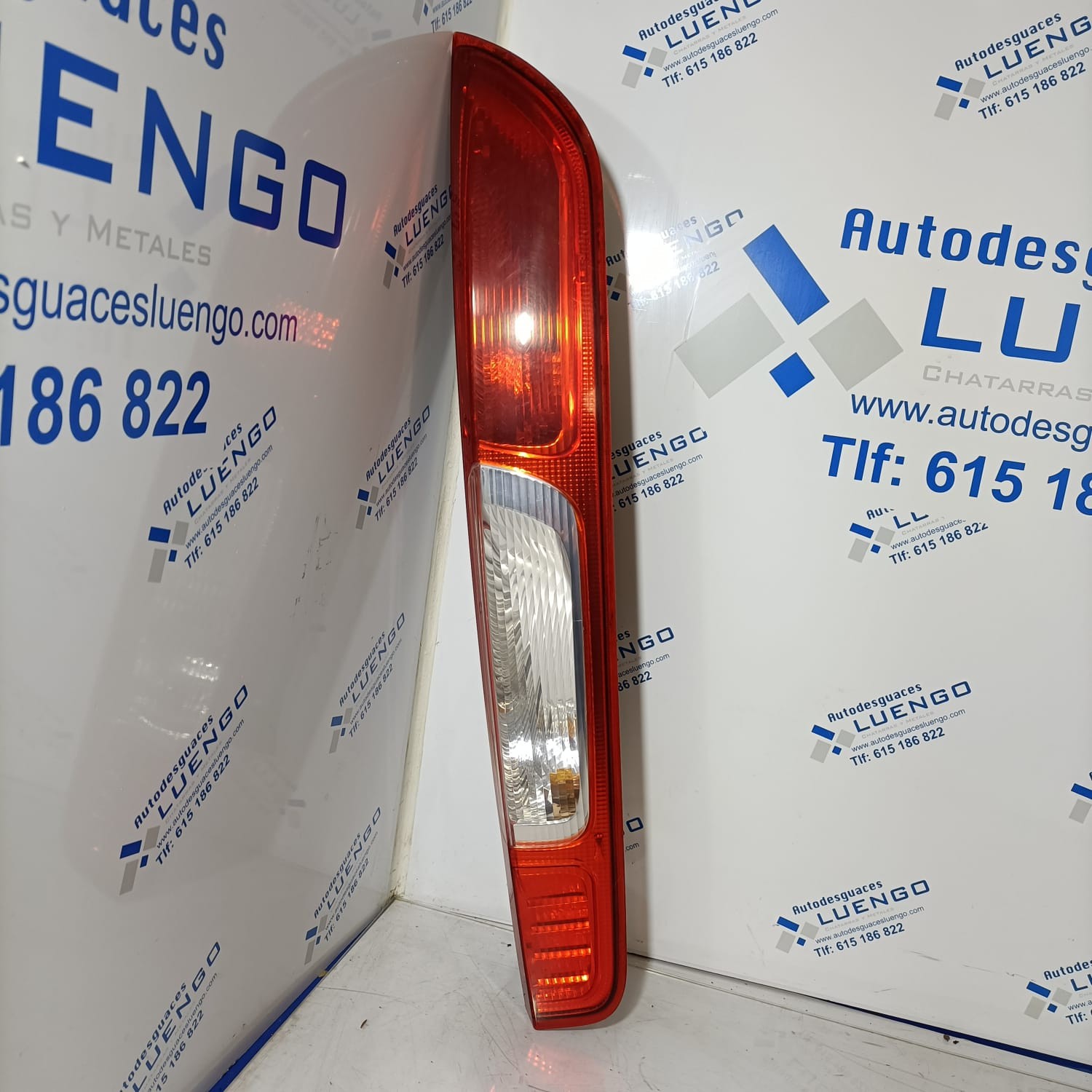 Piloto trasero derecho 2 Ford Focus 2005