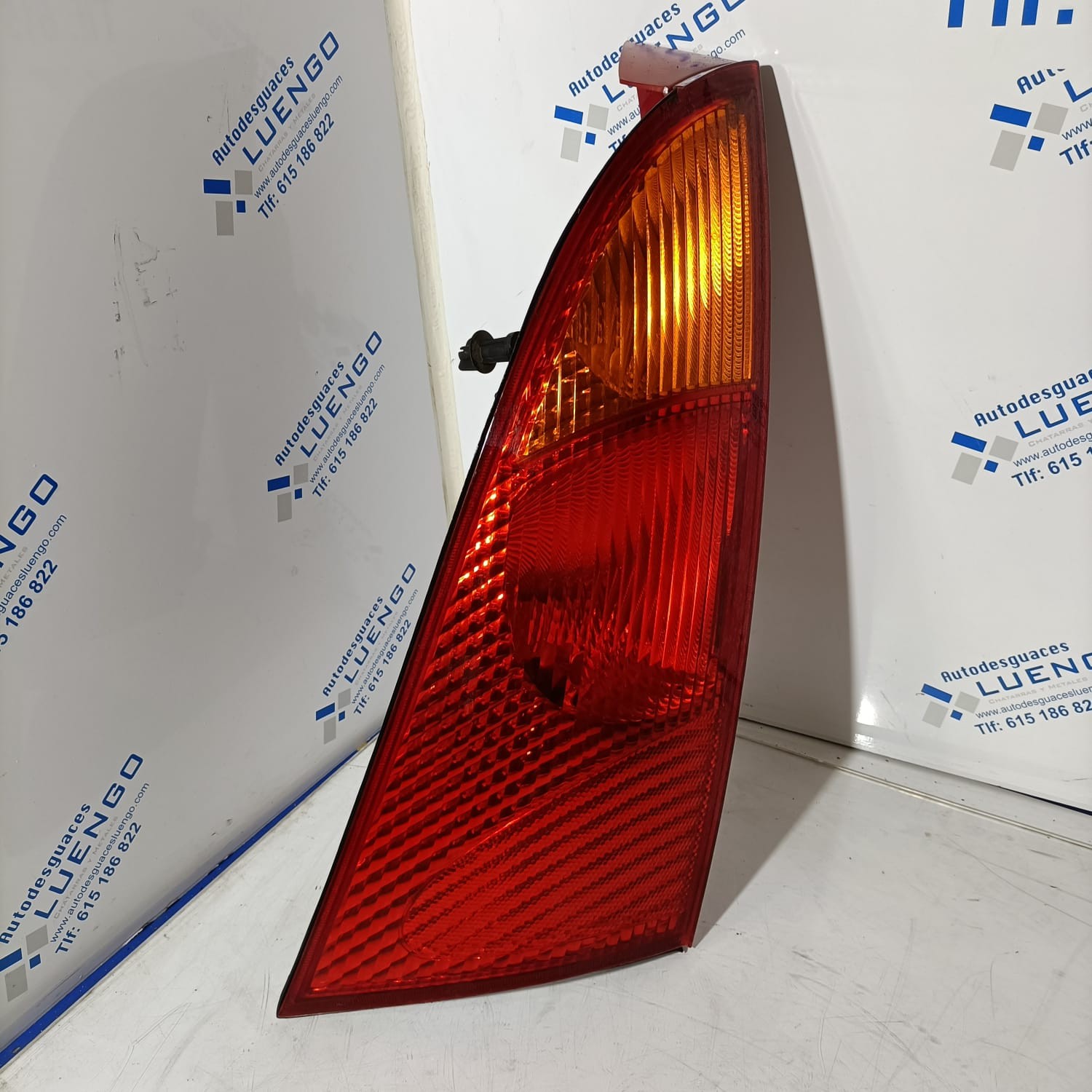 Piloto trasero derecho Ford Focus 2005
