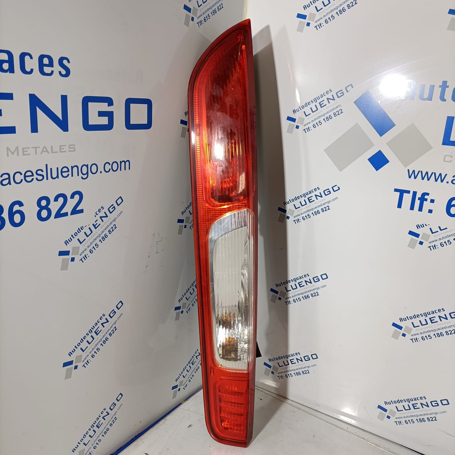 Piloto trasero izquierdo 2 Ford Focus 2005