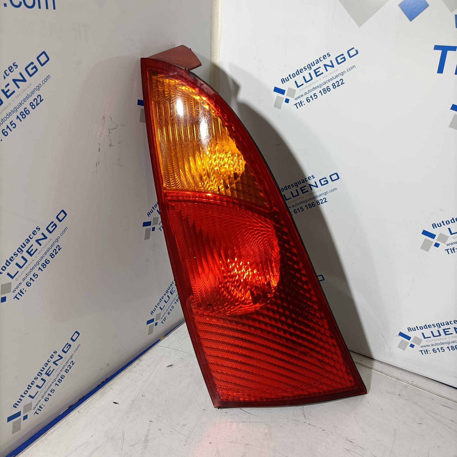 Piloto trasero izquierdo Ford Focus 2005