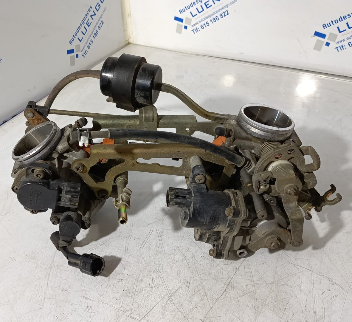 Cuerpo de mariposas Suzuki DL 650 V-Strom 2006