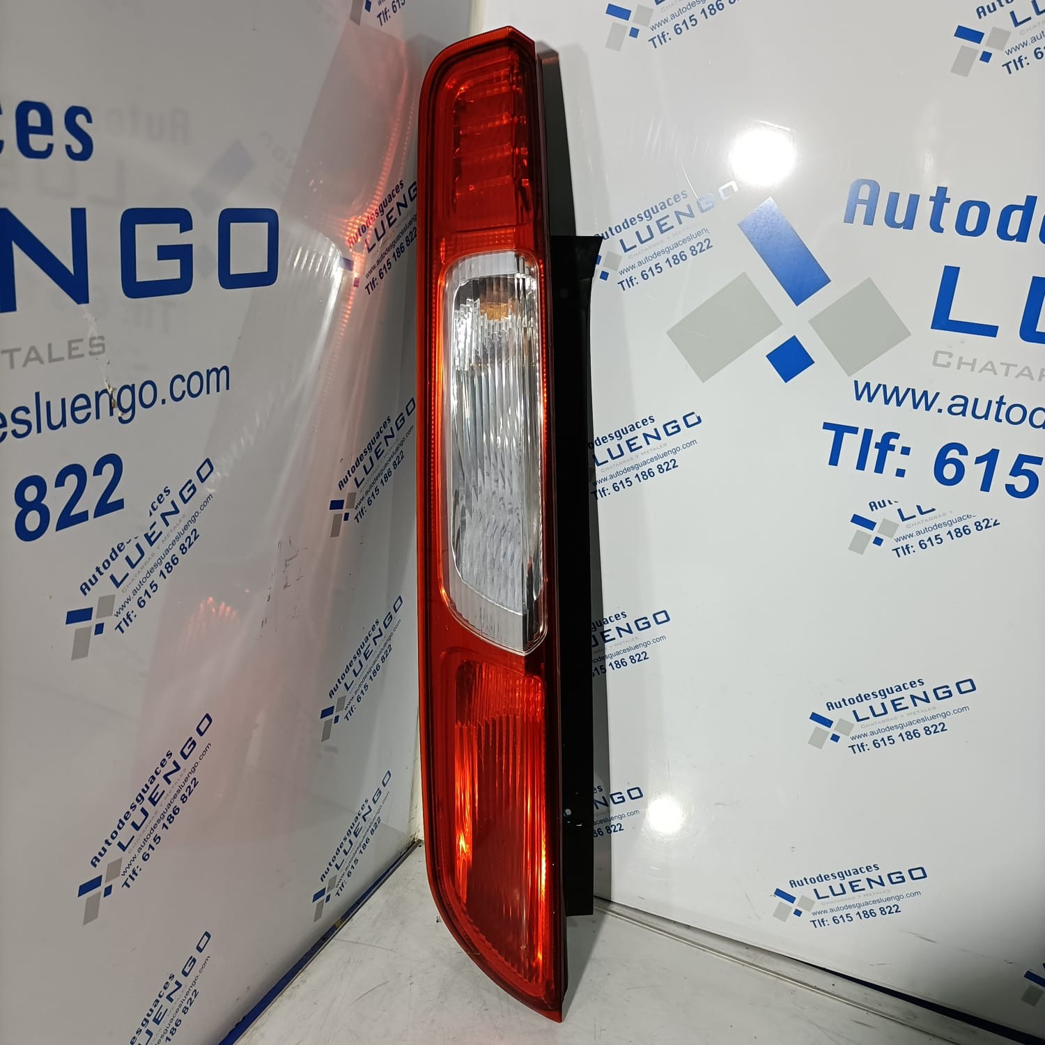 Piloto trasero derecho Ford Focus 2001-2003
