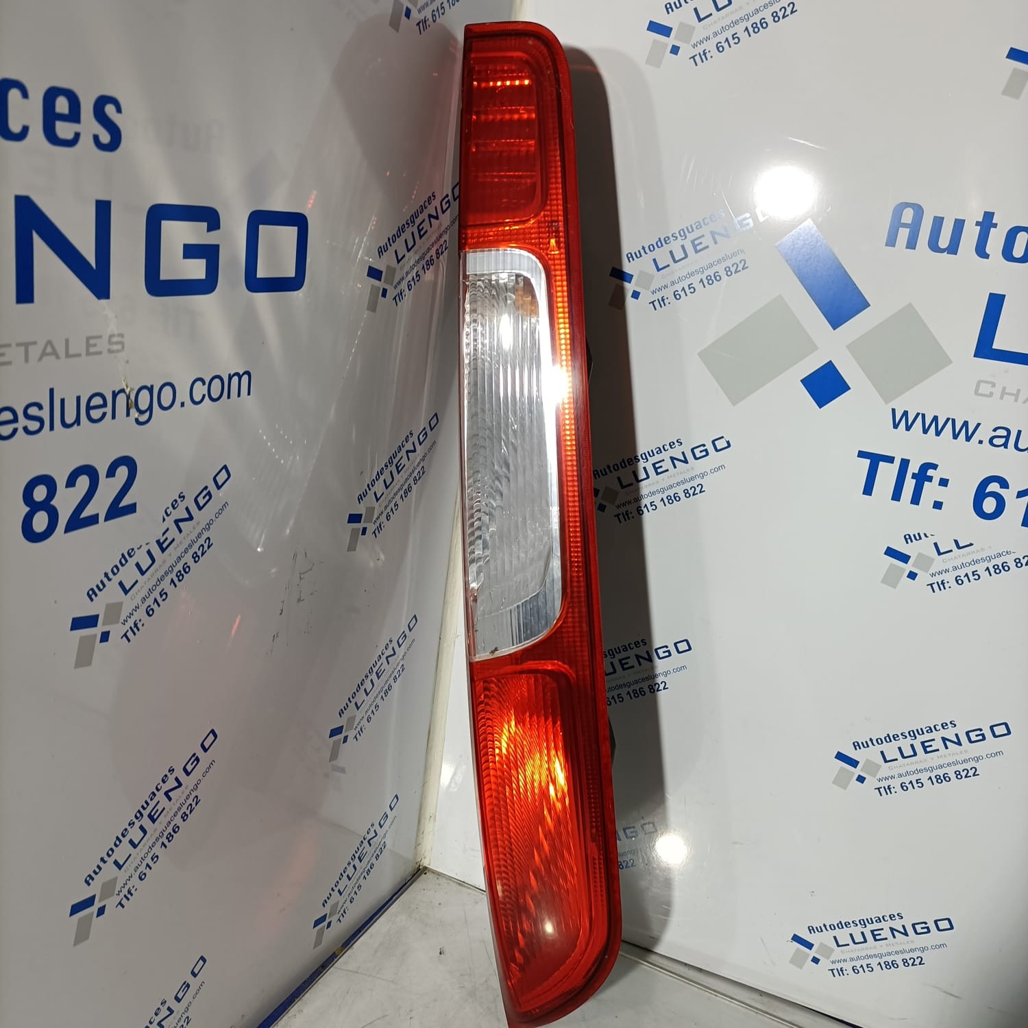 Piloto trasero izquierdo Ford Focus 2001-2003