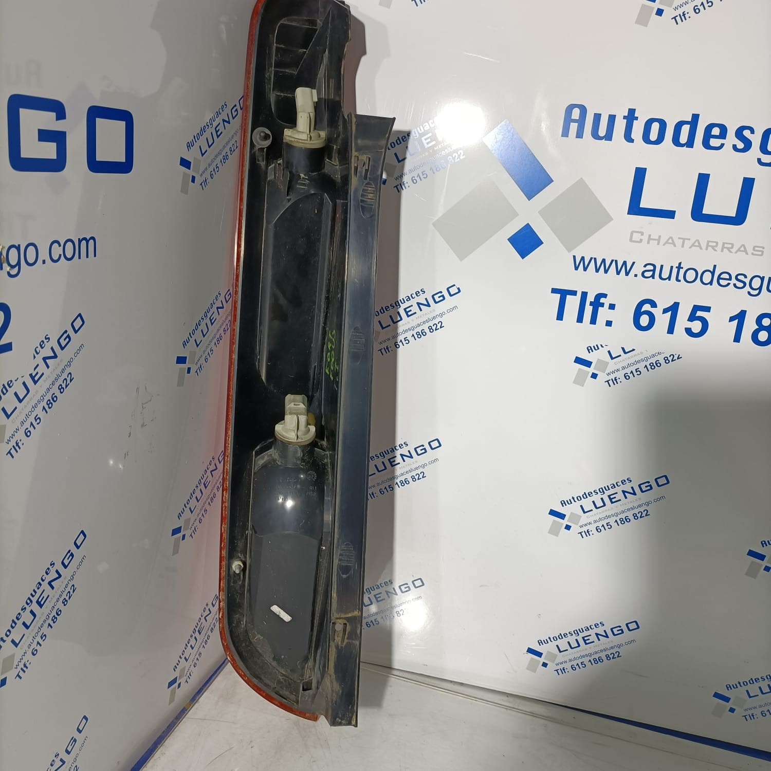Piloto trasero izquierdo Ford Focus 2001-2003