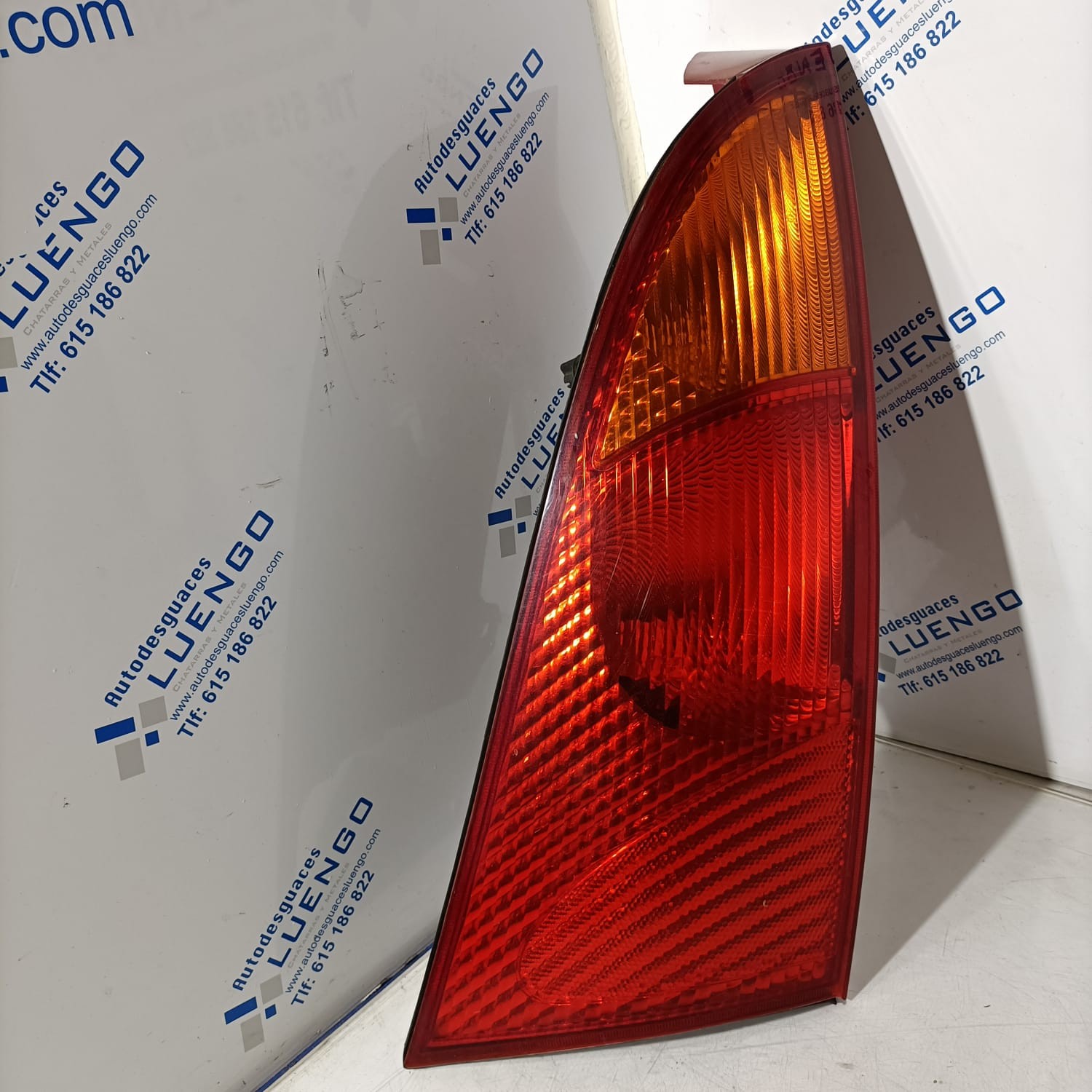 Piloto trasero izquierdo Ford Focus 2000