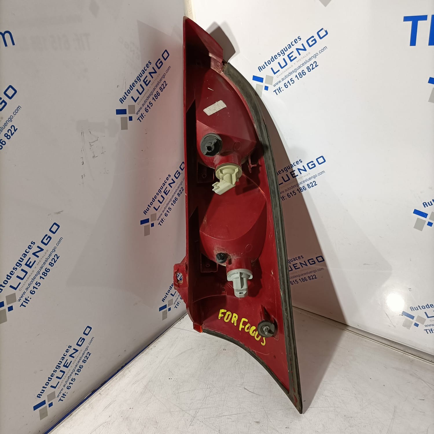 Piloto trasero izquierdo Ford Focus 2000