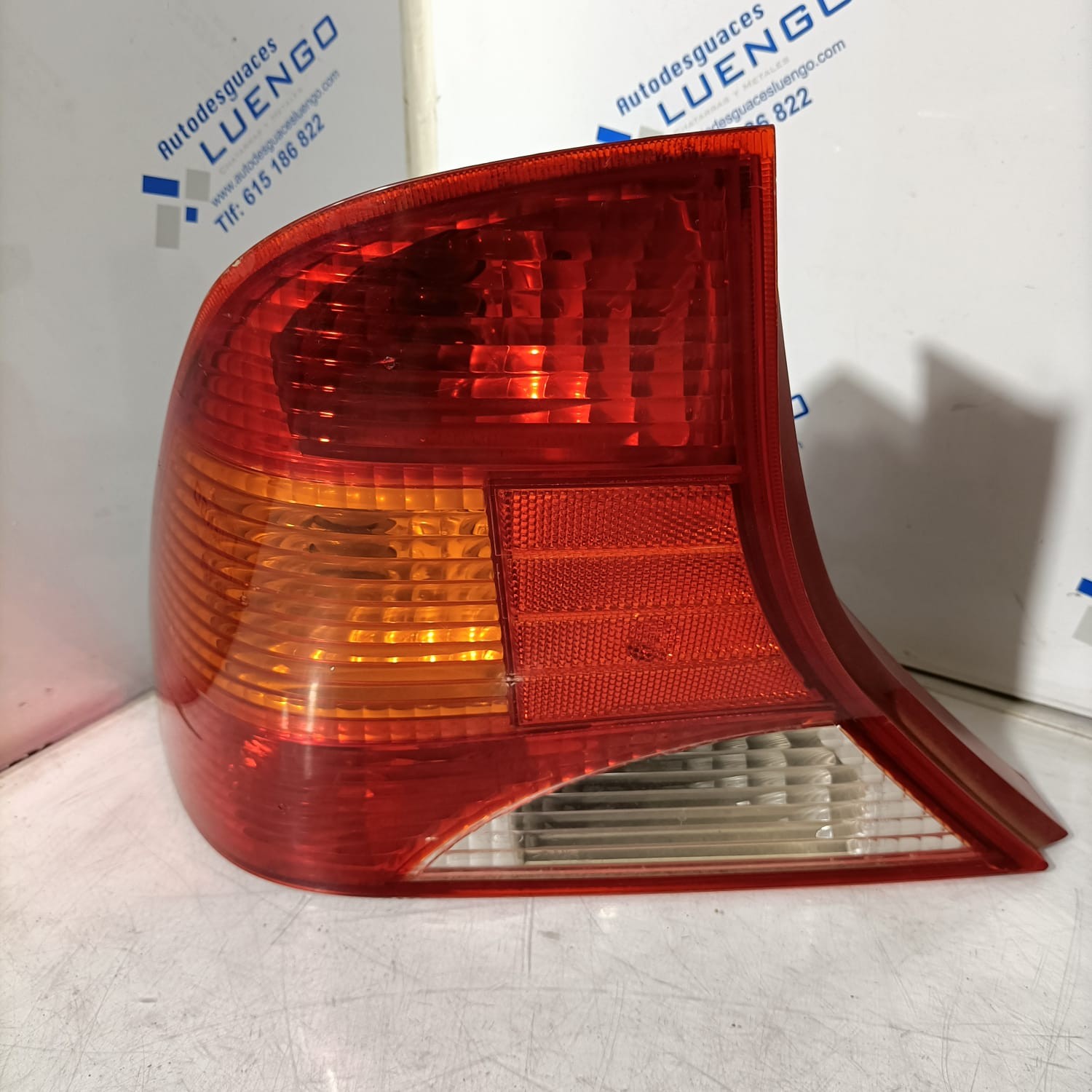 Piloto trasero izquierdo Ford Focus 2004