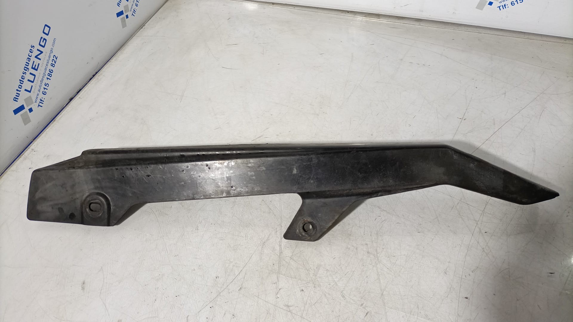 Protector de cadena Suzuki GS 500 F 2007