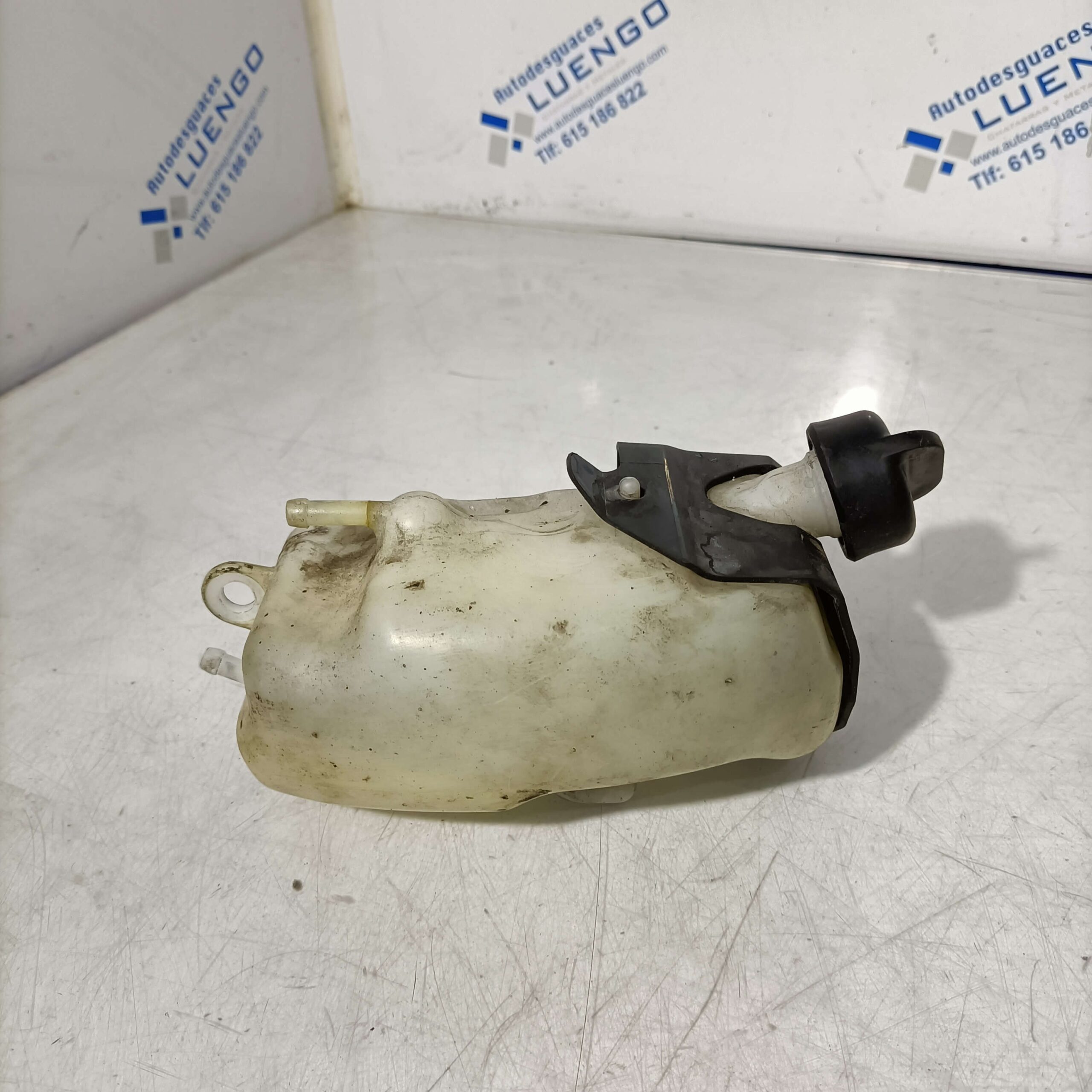 Bote de expansión Honda CB 650 F 2014